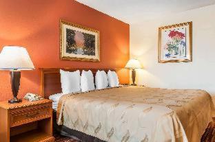 Room #49112412 at Quality Inn