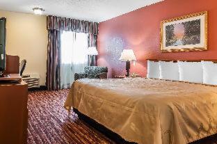 Room #49112412 at Quality Inn
