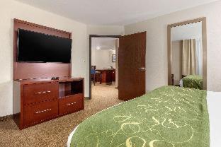 Room #25851814 at Comfort Suites Omaha East-Council Bluffs