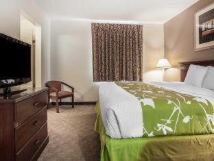 Room #48979708 at Econo Lodge Inn & Suites Des Moines Fairgrounds Area