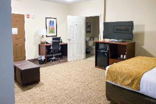 Room #49178122 at Comfort Suites Clarksville near Governors Square Mall