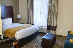 Room #49178115 at Comfort Suites Clarksville near Governors Square Mall