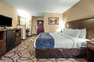 Room #49205406 at Comfort Suites Salt Lake City Airport