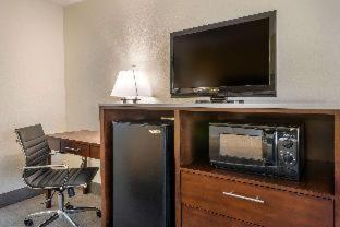 Room #29536628 at Quality Inn & Suites Palatka Riverfront