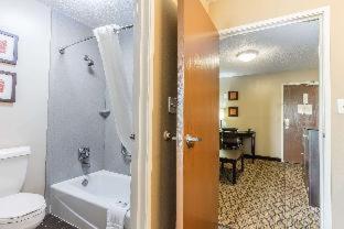Room #27700408 at Comfort Inn & Suites Crystal Inn Sportsplex