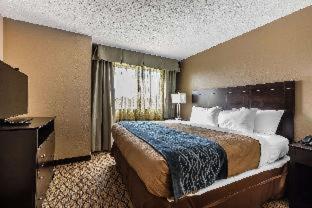 Room #27700408 at Comfort Inn & Suites Crystal Inn Sportsplex