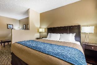 Room #27700409 at Comfort Inn & Suites Crystal Inn Sportsplex