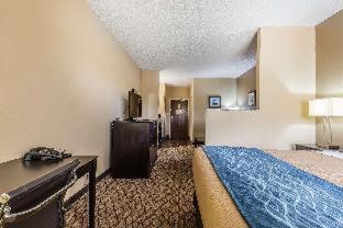 Room #27700409 at Comfort Inn & Suites Crystal Inn Sportsplex
