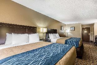 Room #27700410 at Comfort Inn & Suites Crystal Inn Sportsplex