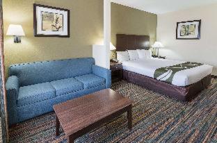 Room #43686016 at Quality Suites Temple I-35