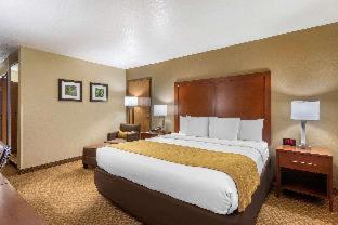 Room #28954916 at Comfort Inn & Suites Springfield I-44