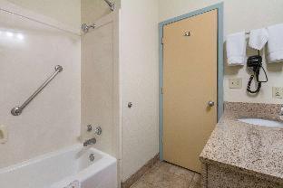Room #43686017 at Quality Suites Temple I-35