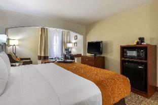Room #28954917 at Comfort Inn & Suites Springfield I-44