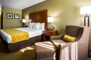 Room #28954918 at Comfort Inn & Suites Springfield I-44