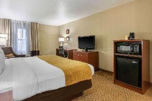 Room #28954921 at Comfort Inn & Suites Springfield I-44