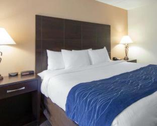 Room #26031310 at Comfort Inn Oak Ridge - Knoxville