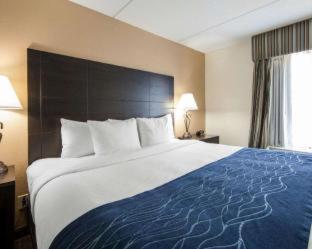 Room #26031310 at Comfort Inn Oak Ridge - Knoxville