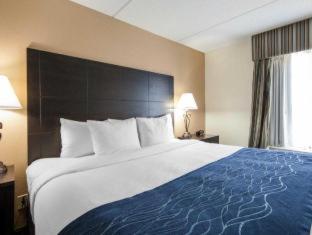 Room #26031310 at Comfort Inn Oak Ridge - Knoxville