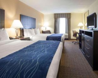 Room #26031313 at Comfort Inn Oak Ridge - Knoxville