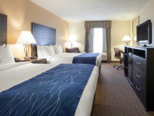 Room #26031313 at Comfort Inn Oak Ridge - Knoxville