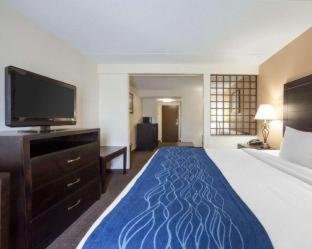 Room #26031314 at Comfort Inn Oak Ridge - Knoxville