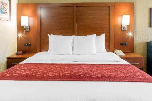 Room #48912108 at Comfort Inn and Suites San Francisco Airport North