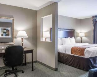 Room #29276207 at Comfort Suites Near Texas A&M University - Corpus Christi