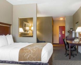 Room #29276208 at Comfort Suites Near Texas A&M University - Corpus Christi