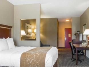 Room #29276209 at Comfort Suites Near Texas A&M University - Corpus Christi