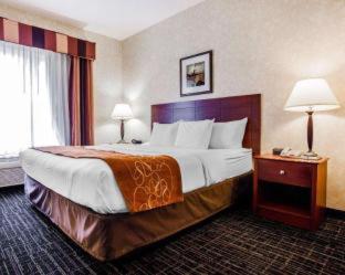 Room #49044711 at Comfort Suites Independence - Kansas City