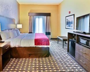Room #112070510 at Comfort Suites