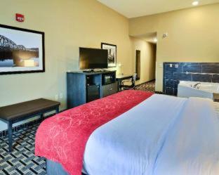 Room #112070510 at Comfort Suites