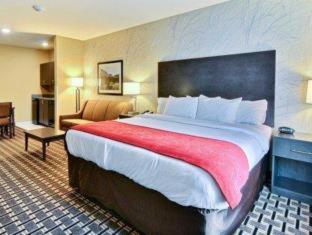 Room #112070510 at Comfort Suites