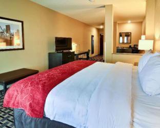 Room #112070511 at Comfort Suites