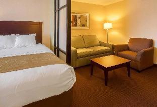 Room #49007705 at Comfort Suites Manhattan