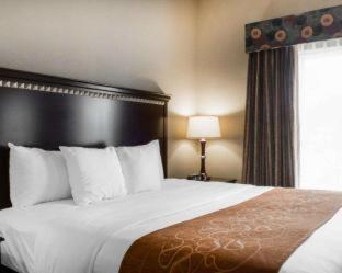 Room #29276210 at Comfort Suites Near Texas A&M University - Corpus Christi