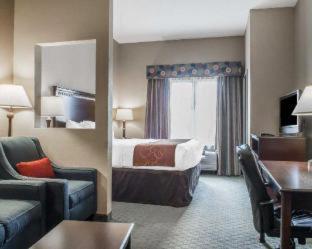 Room #29276210 at Comfort Suites Near Texas A&M University - Corpus Christi