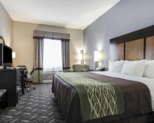 Room #49203409 at Comfort Inn & Suites El Paso I-10 Airport Area
