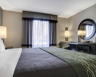 Room #49203409 at Comfort Inn & Suites El Paso I-10 Airport Area