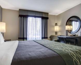 Room #49203410 at Comfort Inn & Suites El Paso I-10 Airport Area