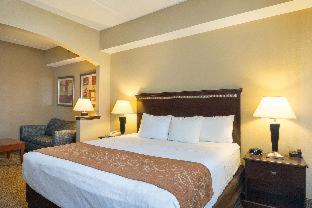 Room #49185609 at Comfort Suites Beachside