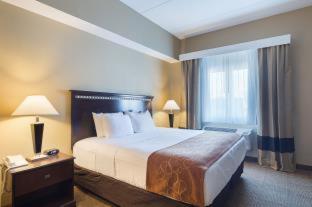 Room #49185609 at Comfort Suites Beachside