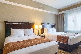 Room #49185611 at Comfort Suites Beachside
