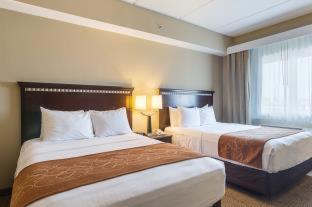Room #49185611 at Comfort Suites Beachside