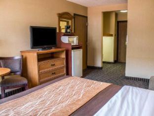 Room #49103307 at Comfort Inn East