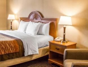 Room #49103307 at Comfort Inn East