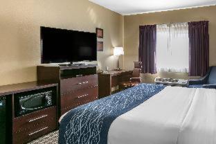 Room #48930417 at Comfort Inn Fort Collins North