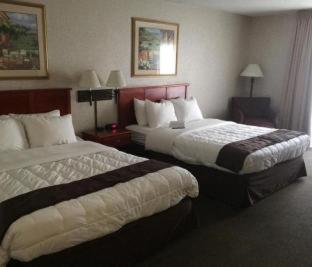 Room #5808617 at Quality Inn & Suites Albuquerque Midtown - University Area