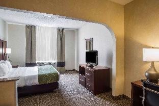 Room #45830507 at Comfort Suites Castle Rock - Denver South