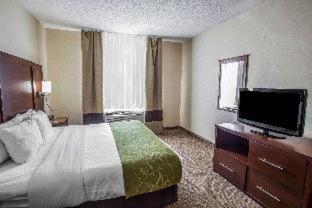 Room #45830507 at Comfort Suites Castle Rock - Denver South